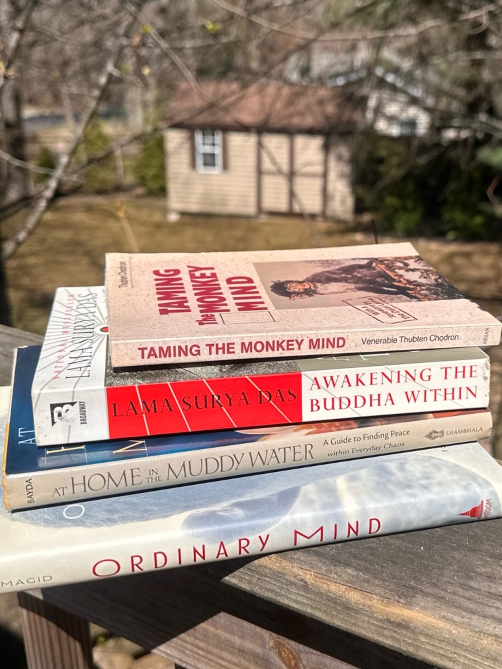 Mindfulness Book Bundle, Buddhism, Faith, Meditation, by Bayda, Magid, Chodron
